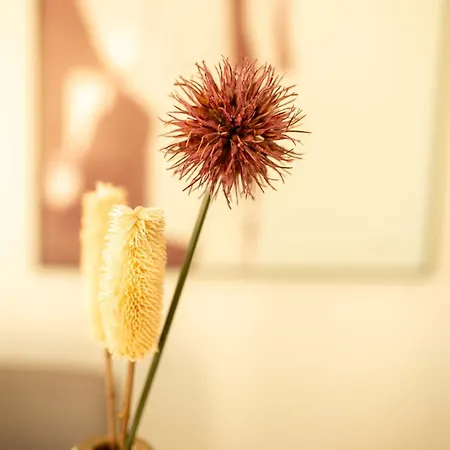 Διαμέρισμα Modern 3bd Spacious With Terrace - Close To Yacht Marina *